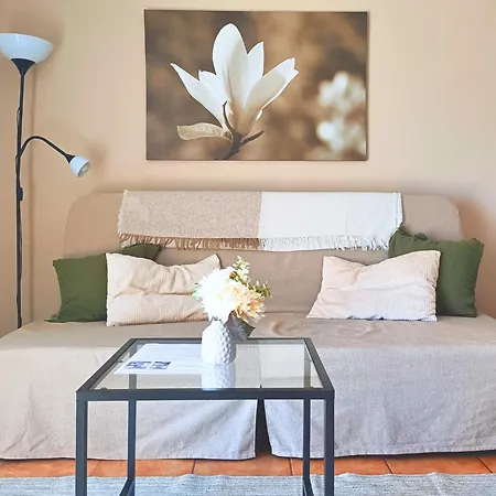 El Zumacalito Breña Baja